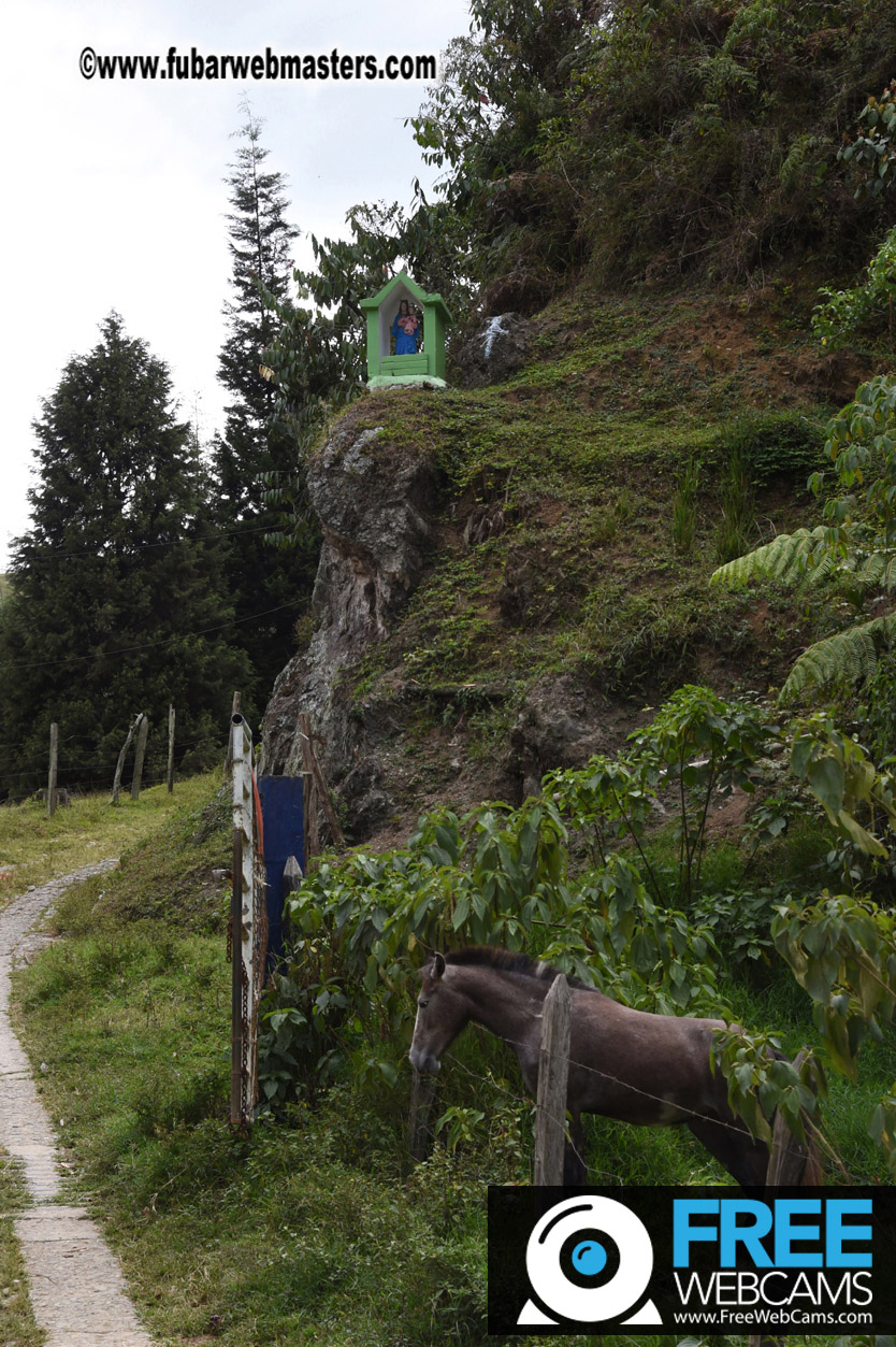 Horseback Riding Colombian style tour