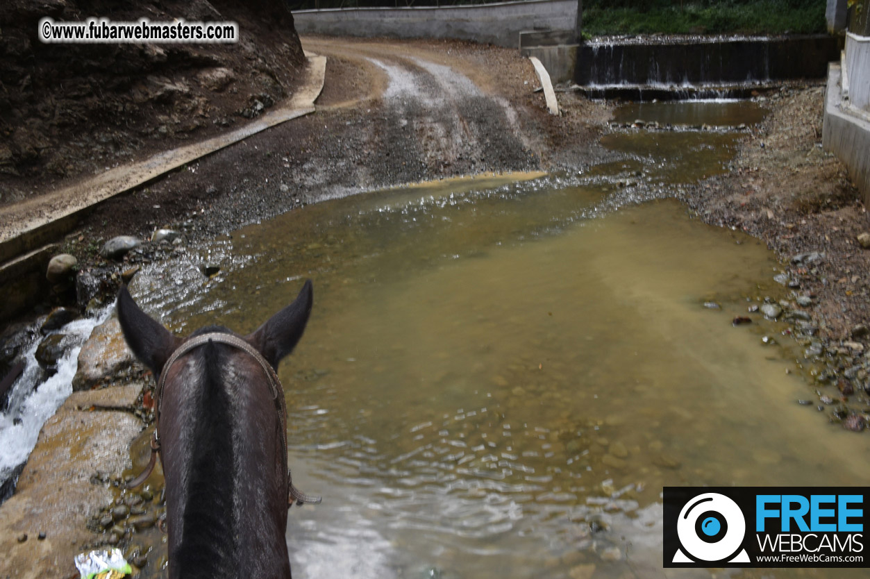 Horseback Riding Colombian style tour