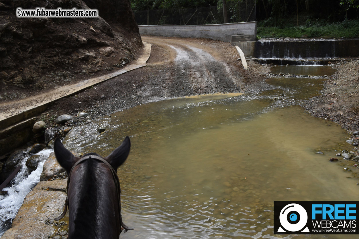 Horseback Riding Colombian style tour