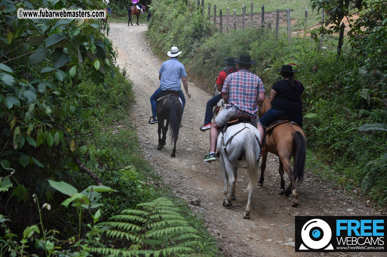 Horseback Riding Colombian style tour