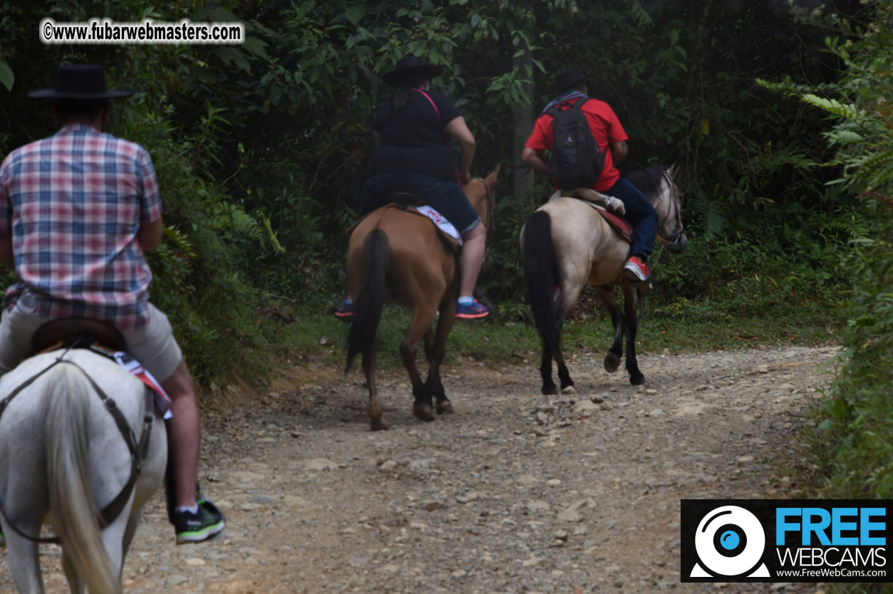 Horseback Riding Colombian style tour