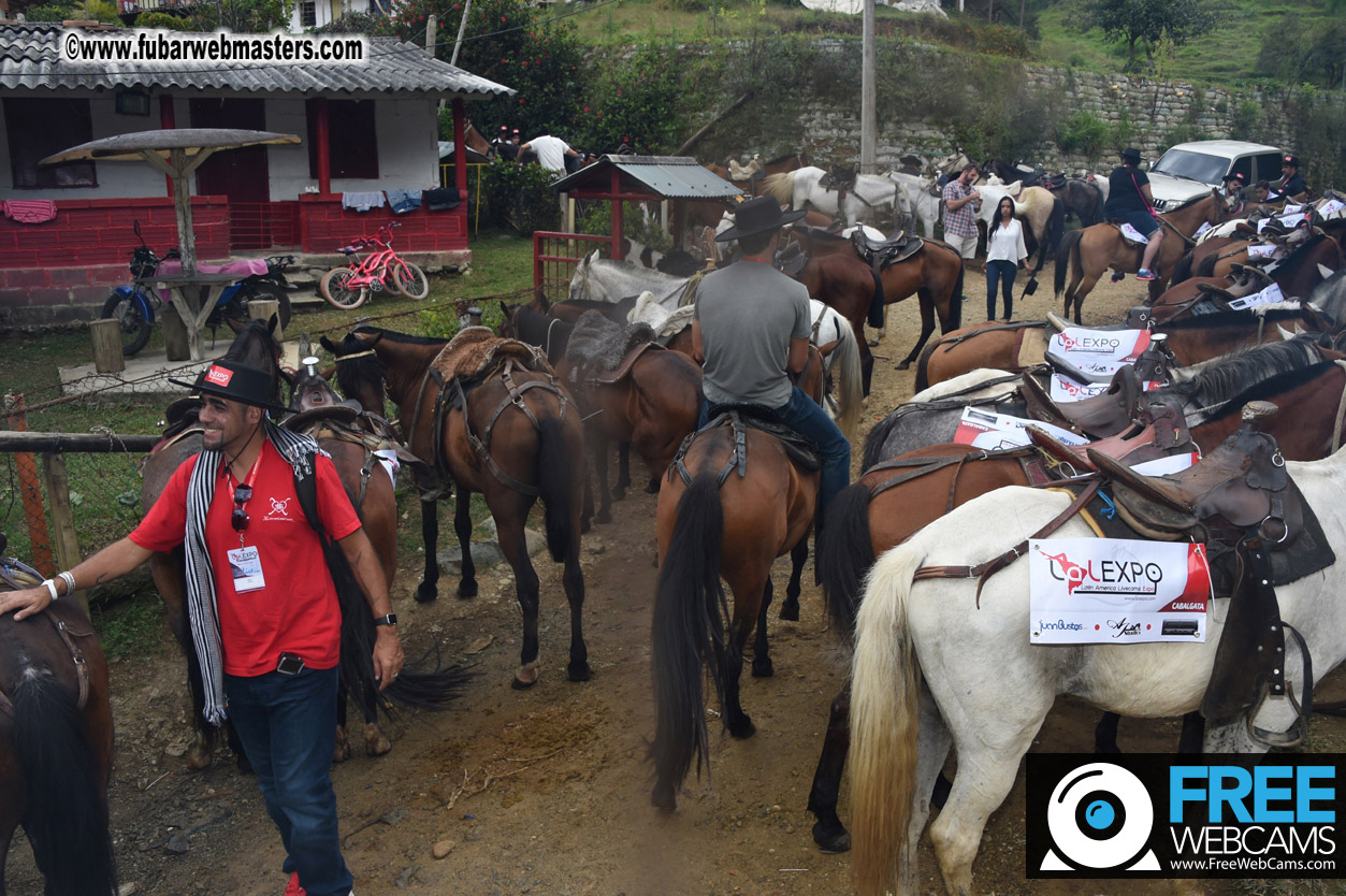 Horseback Riding Colombian style tour