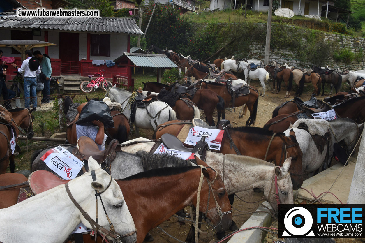 Horseback Riding Colombian style tour