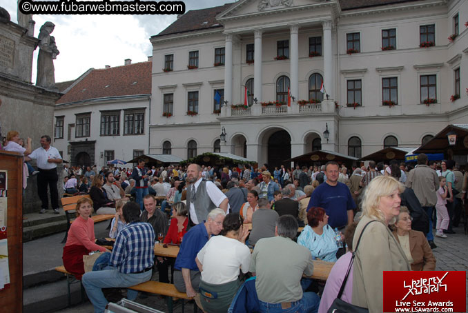 Sopron Wine Festival and Party