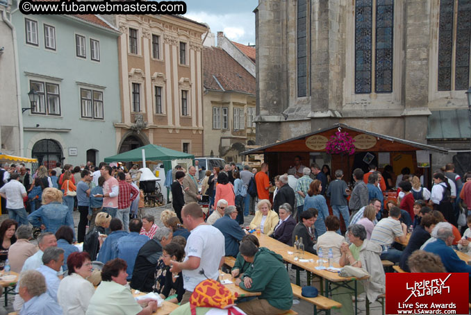 Sopron Wine Festival and Party