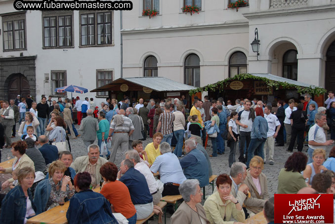 Sopron Wine Festival and Party