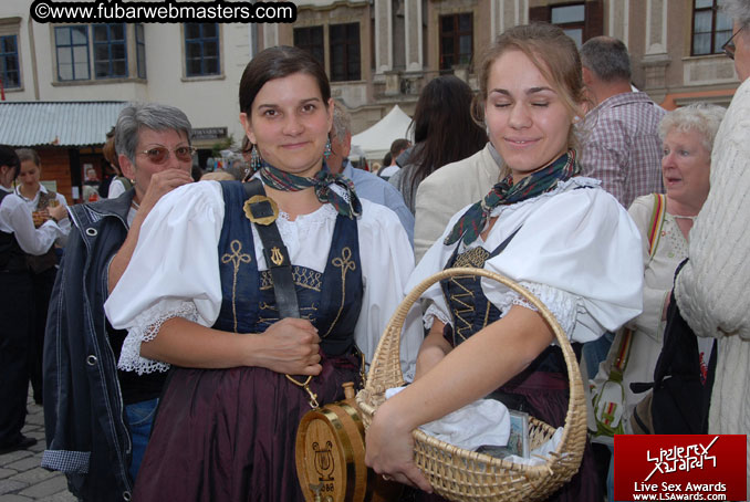 Sopron Wine Festival and Party