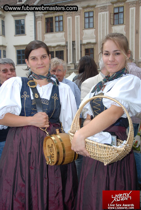 Sopron Wine Festival and Party