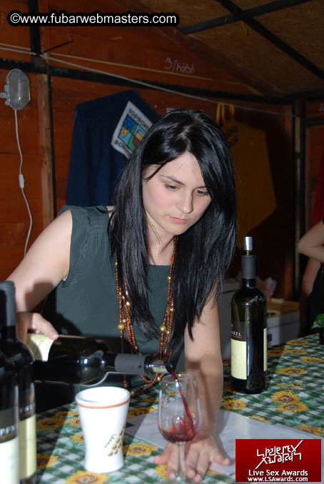 Sopron Wine Festival and Party