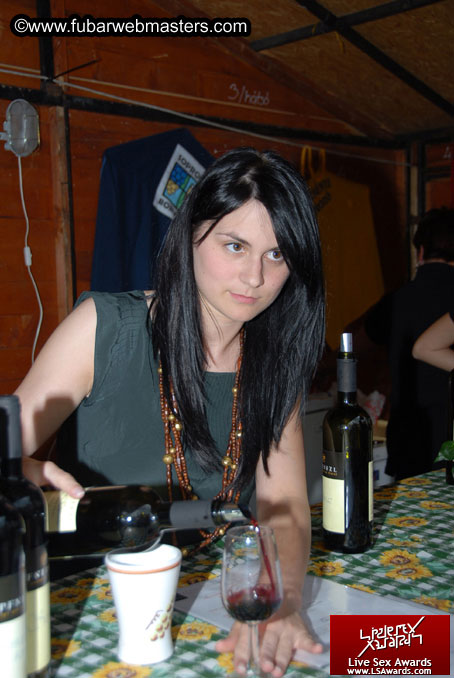 Sopron Wine Festival and Party