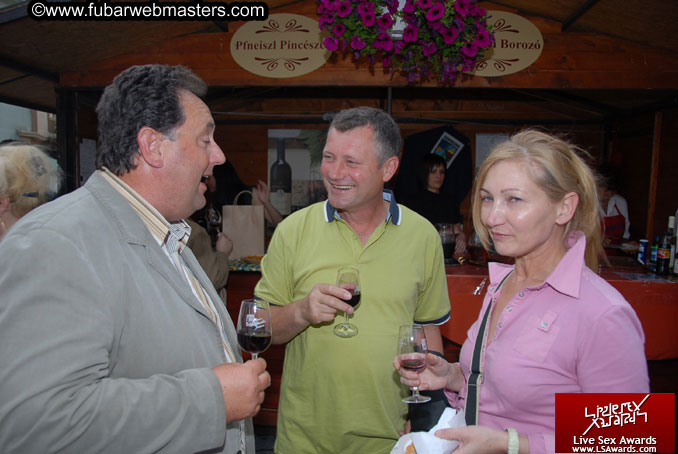 Sopron Wine Festival and Party