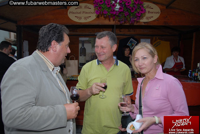 Sopron Wine Festival and Party