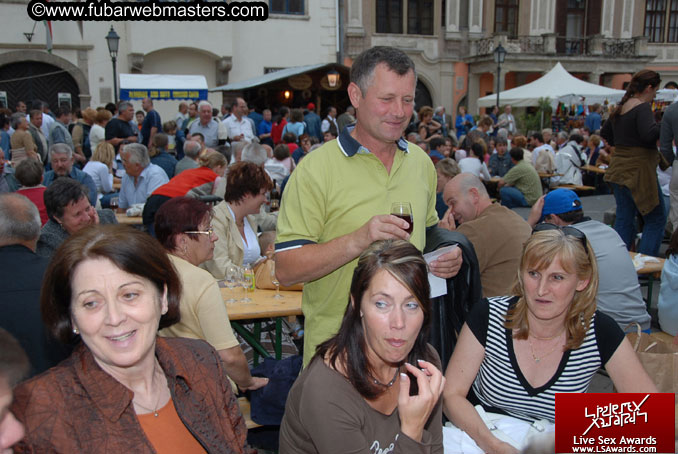 Sopron Wine Festival and Party