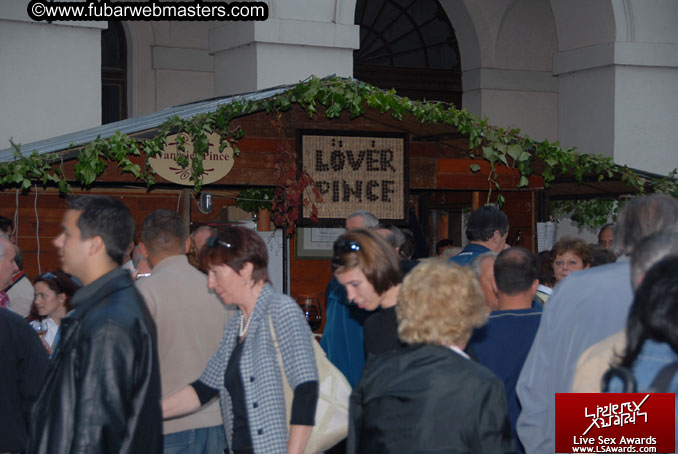 Sopron Wine Festival and Party