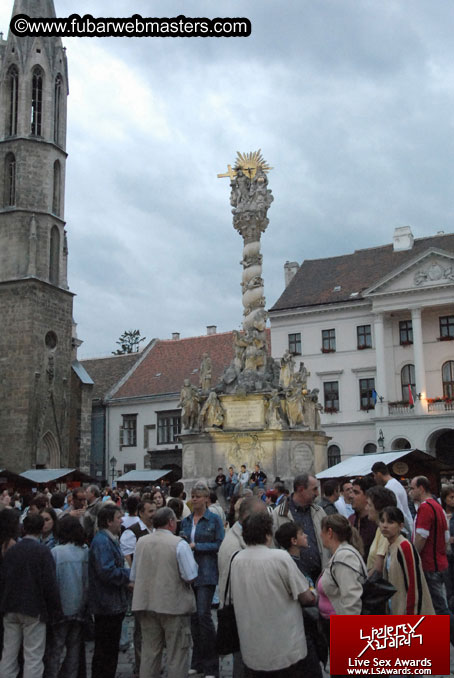 Sopron Wine Festival and Party