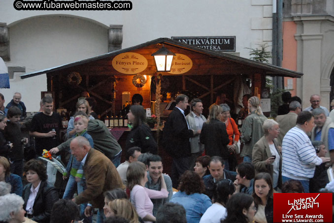 Sopron Wine Festival and Party