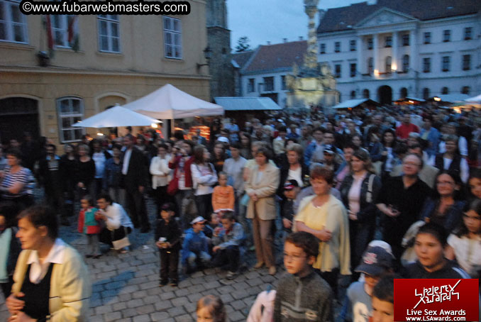 Sopron Wine Festival and Party