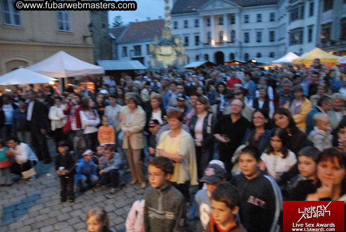 Sopron Wine Festival and Party