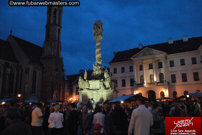 Sopron Wine Festival and Party