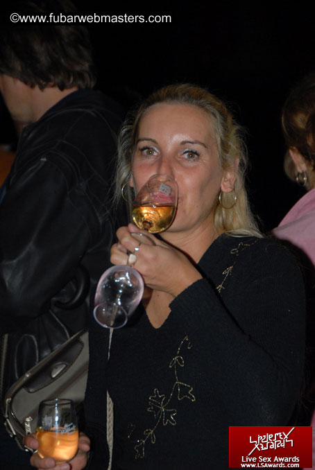 Sopron Wine Festival and Party