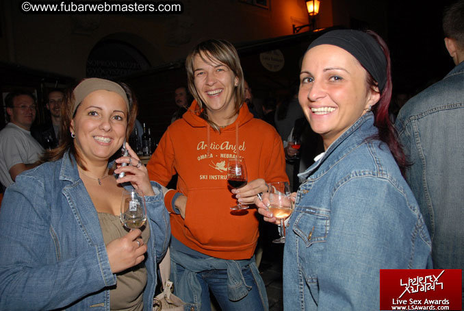 Sopron Wine Festival and Party