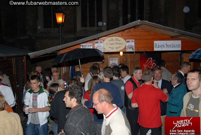 Sopron Wine Festival and Party