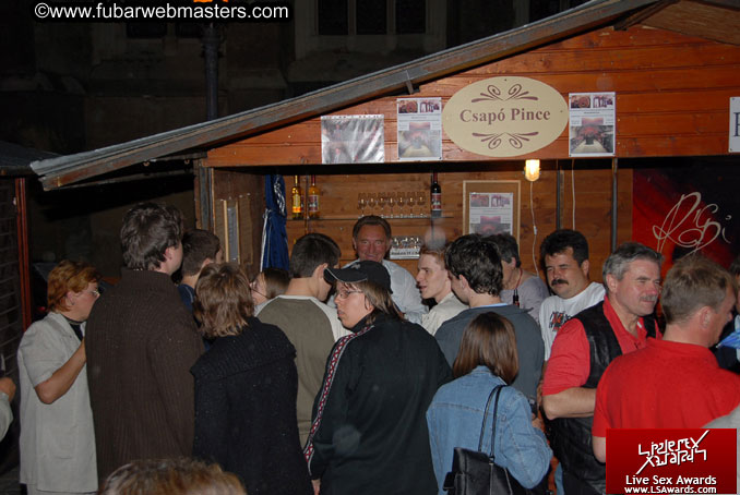 Sopron Wine Festival and Party