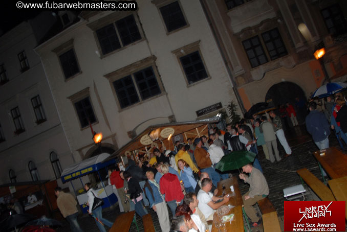 Sopron Wine Festival and Party