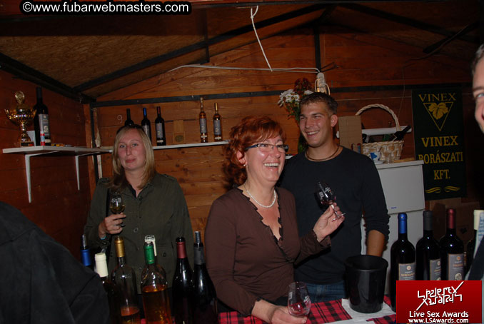 Sopron Wine Festival and Party