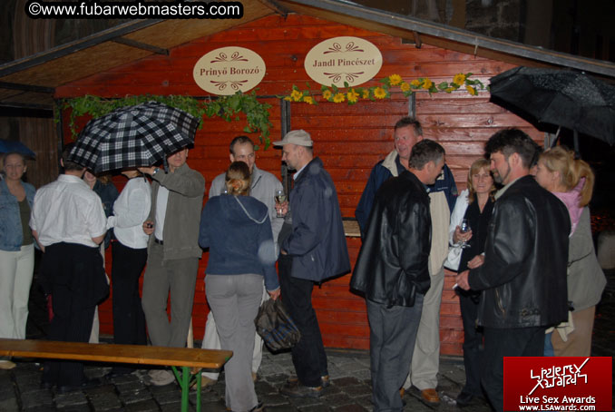 Sopron Wine Festival and Party