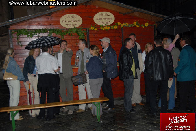 Sopron Wine Festival and Party