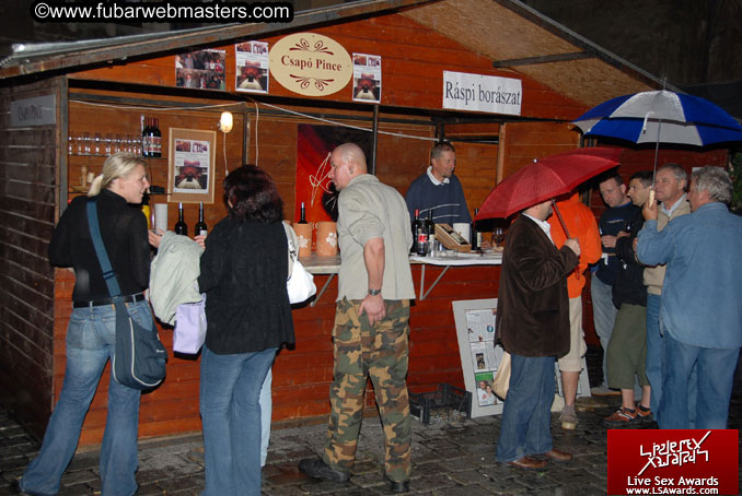 Sopron Wine Festival and Party