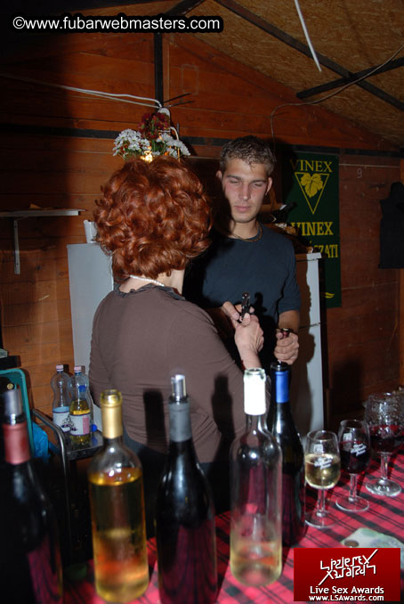 Sopron Wine Festival and Party