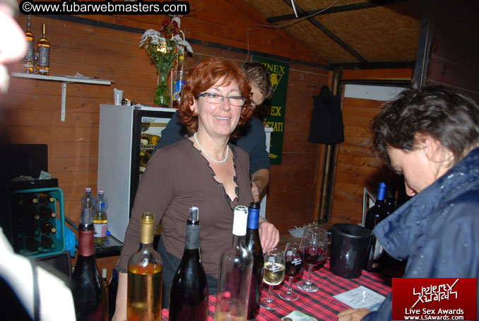 Sopron Wine Festival and Party