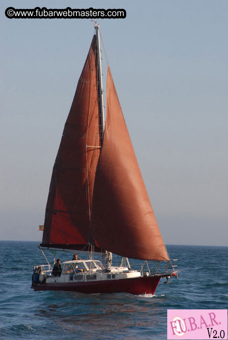 Catamaran Boat Tour