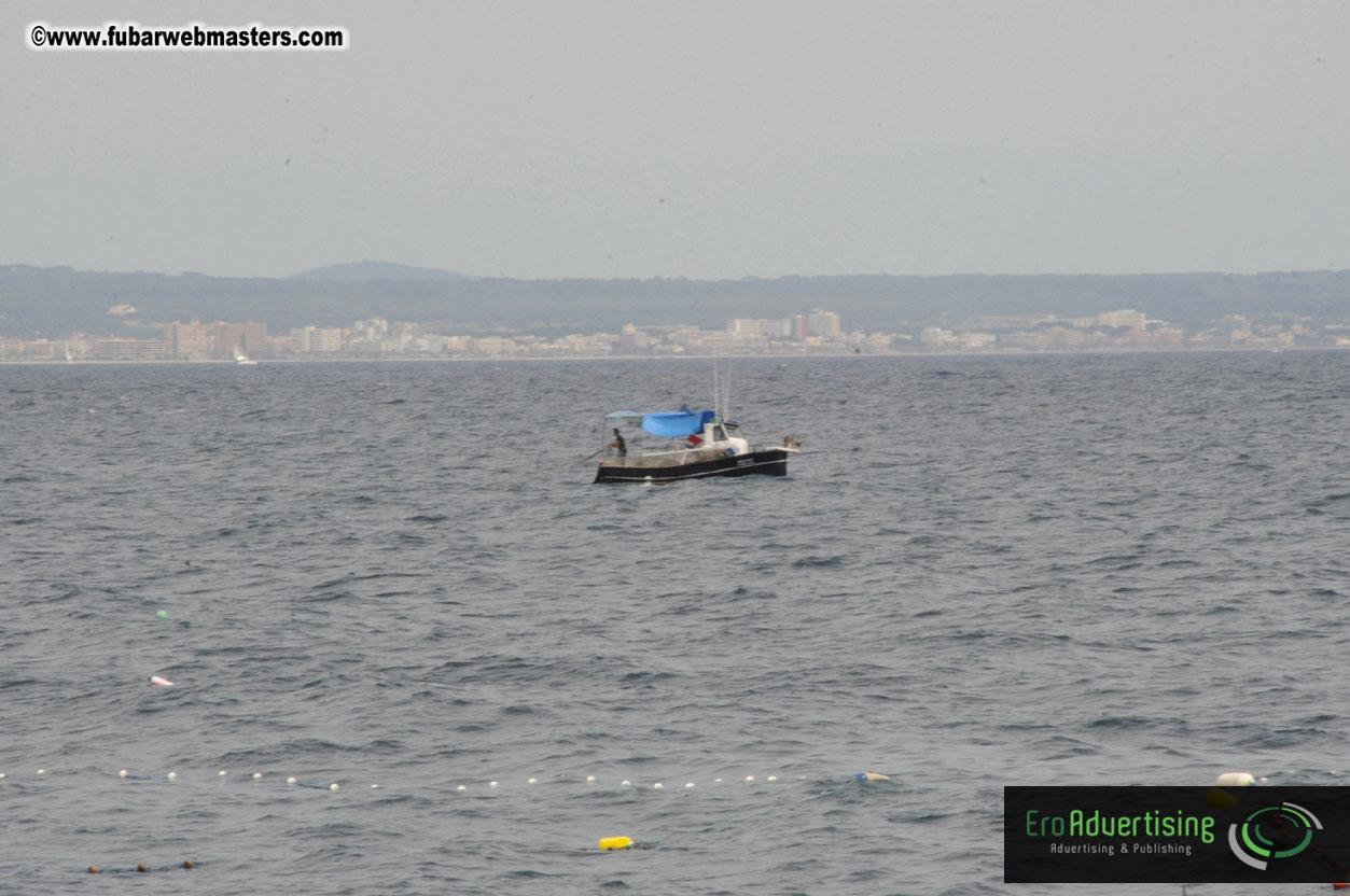 Arrivals, Registration and the Show