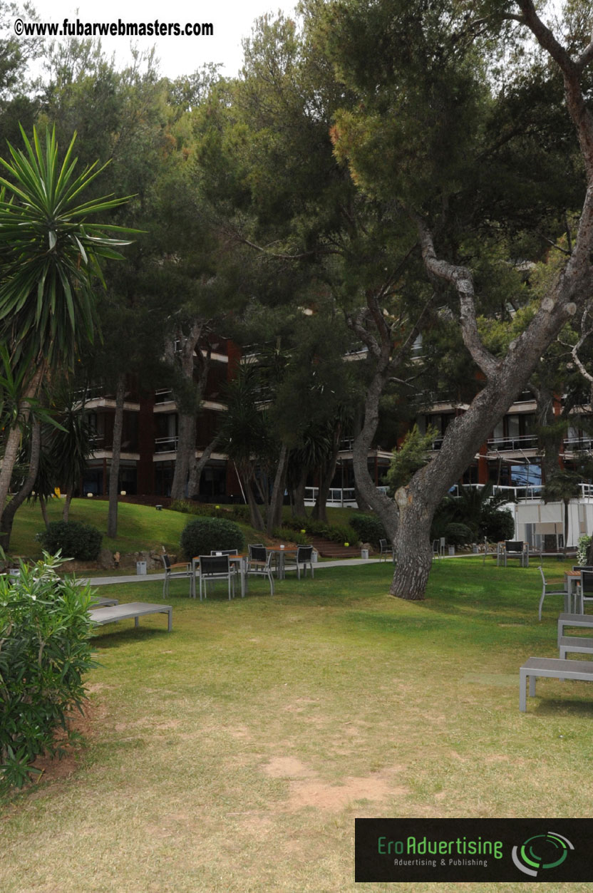 Arrivals, Registration and the Show