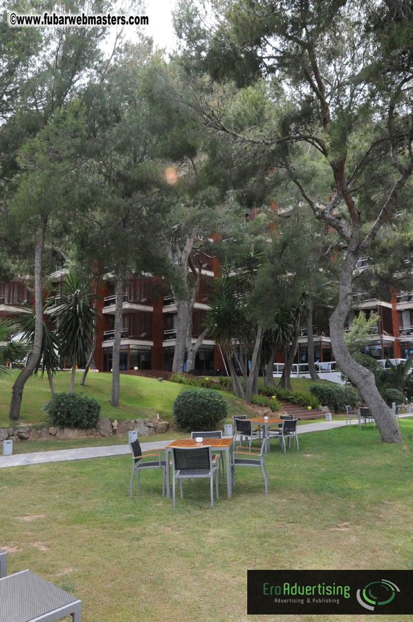 Arrivals, Registration and the Show