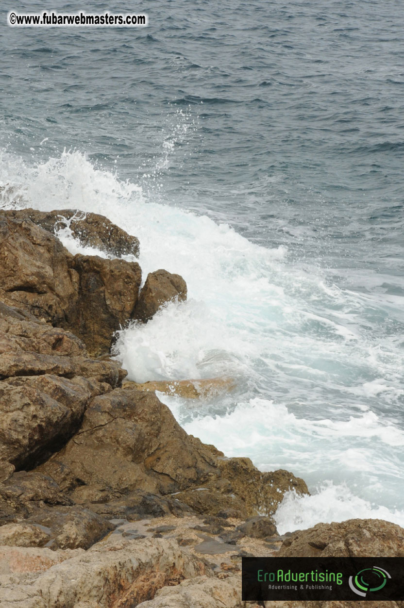 Arrivals, Registration and the Show