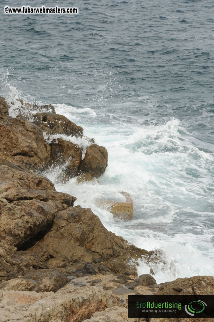 Arrivals, Registration and the Show