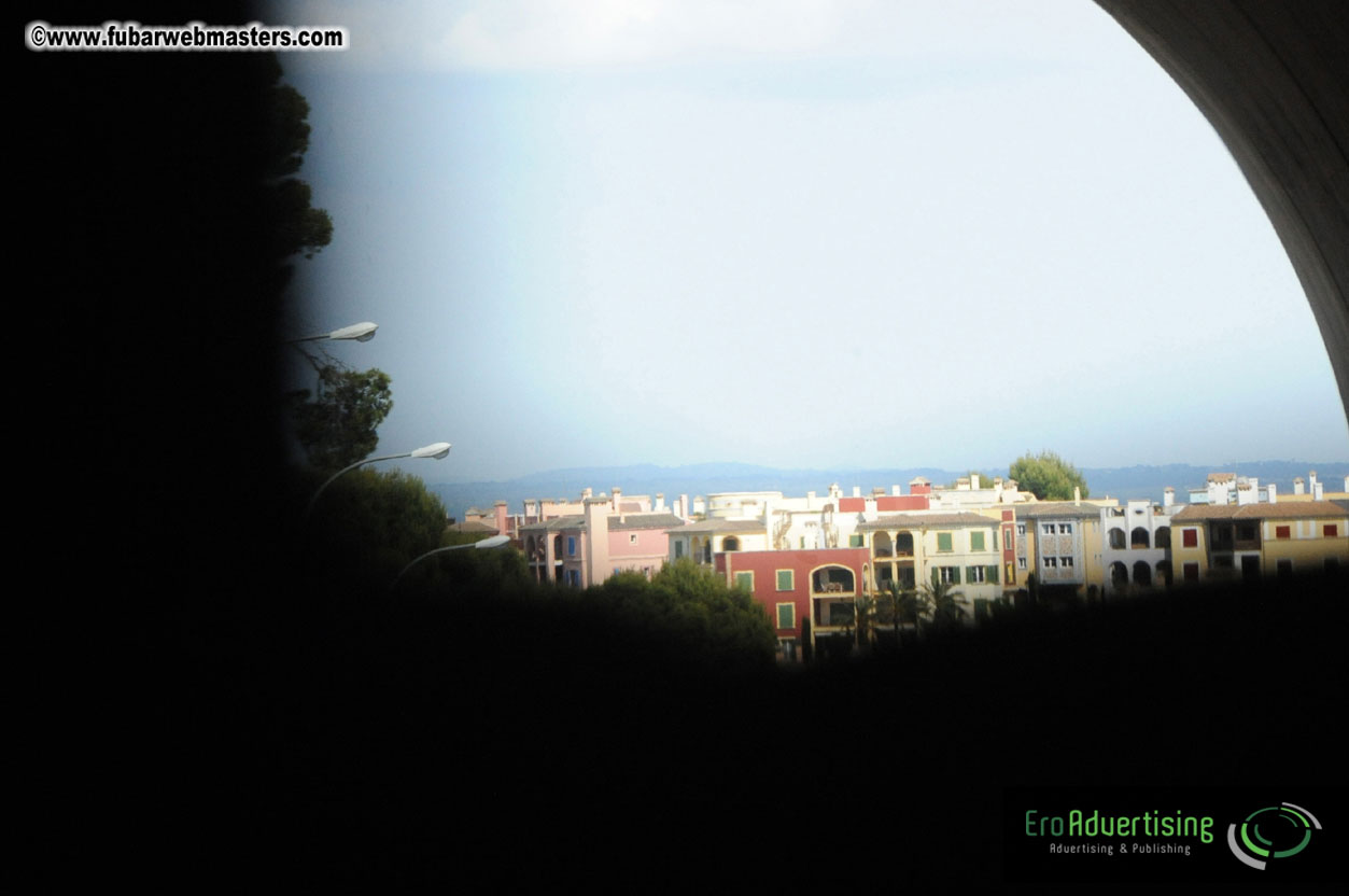 MOMO Afternoon Webmaster Party & BBQ