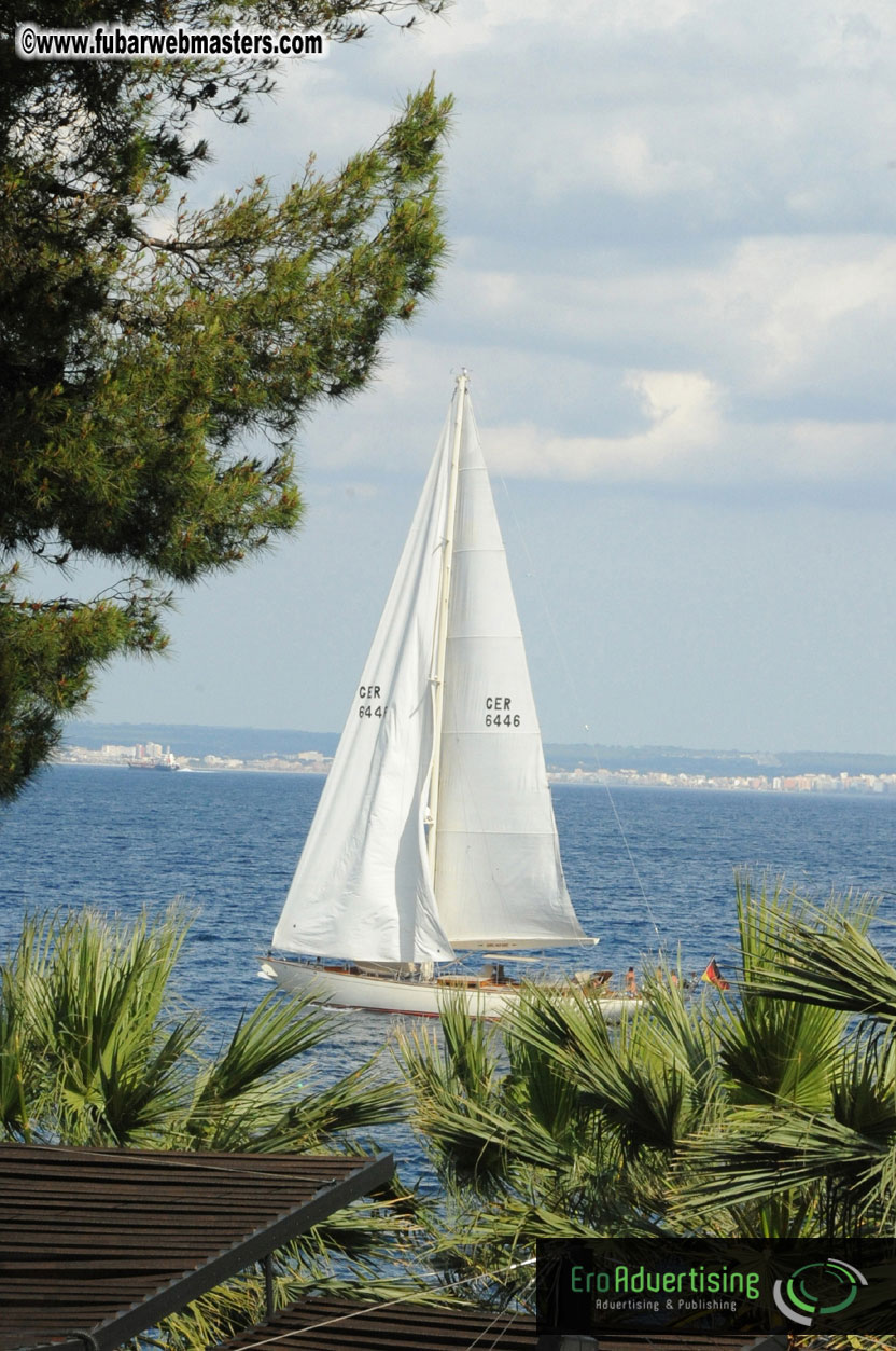 MOMO Afternoon Webmaster Party & BBQ