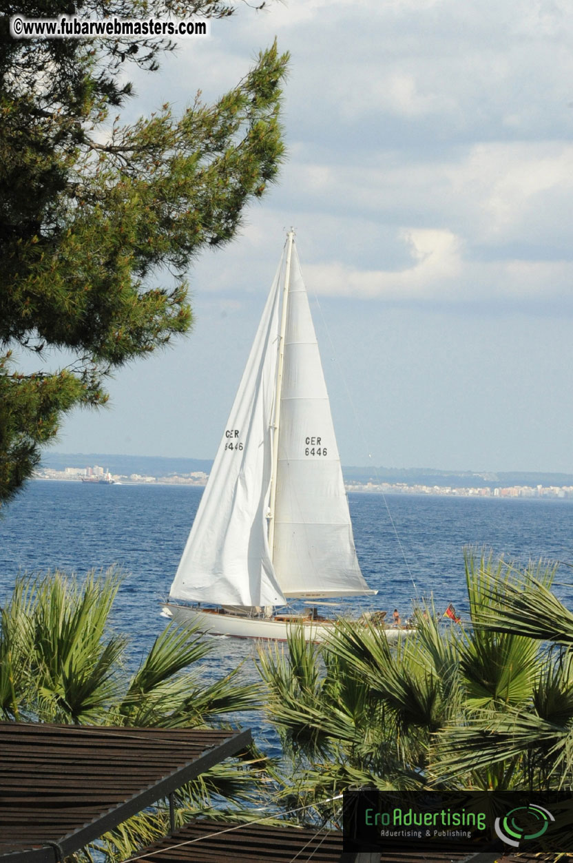 MOMO Afternoon Webmaster Party & BBQ