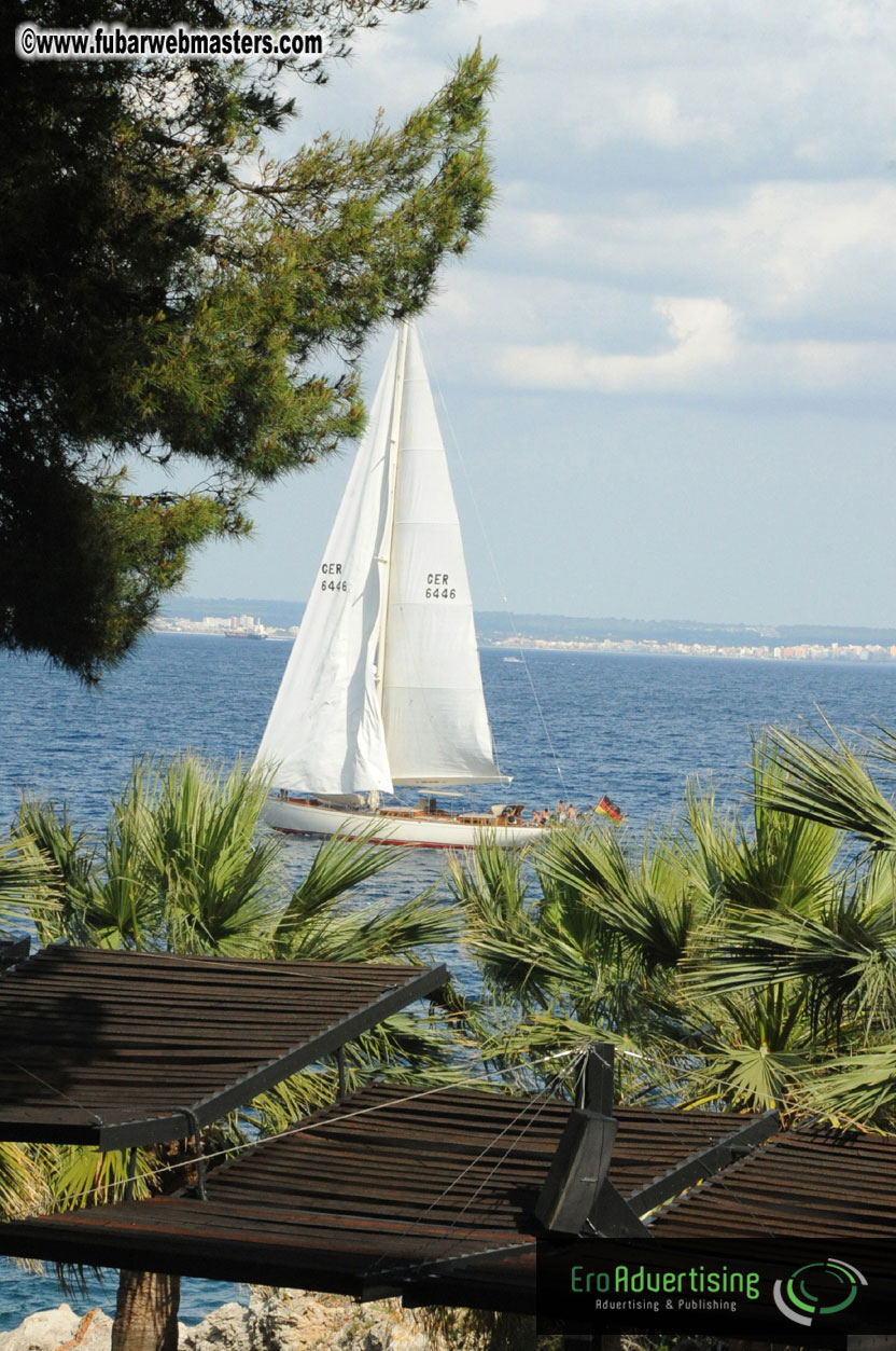 MOMO Afternoon Webmaster Party & BBQ