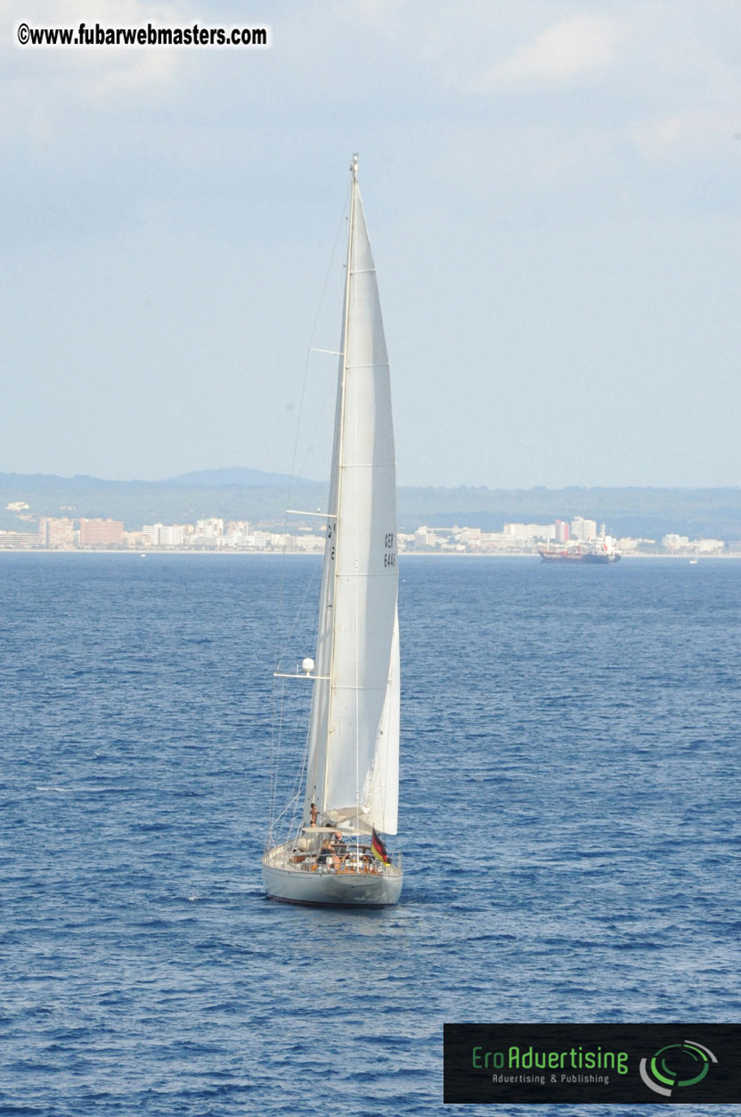 MOMO Afternoon Webmaster Party & BBQ