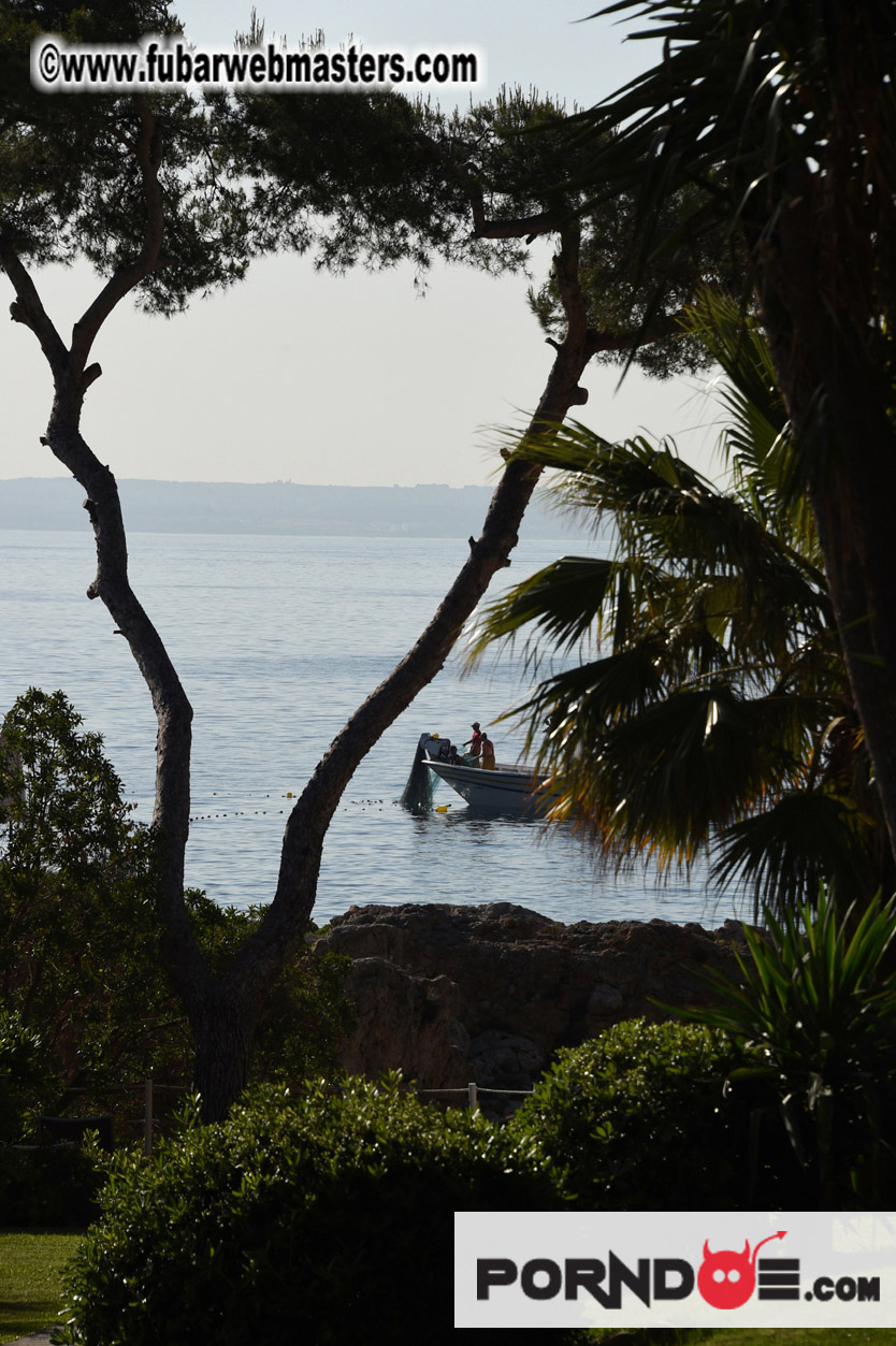 Fishermen @ work early in the morning