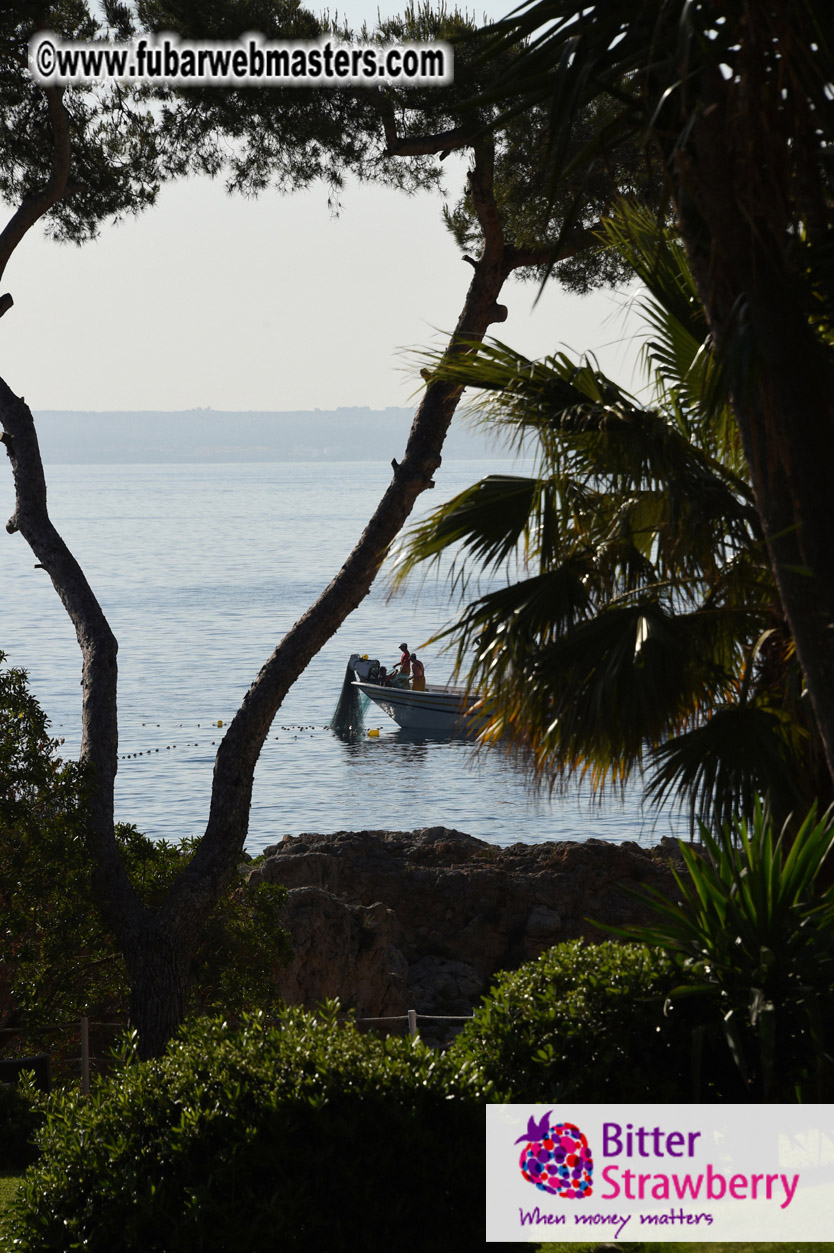 Fishermen @ work early in the morning