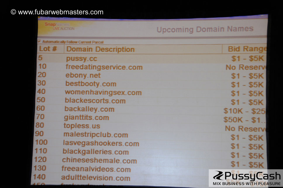 Live Adult Domain Auction