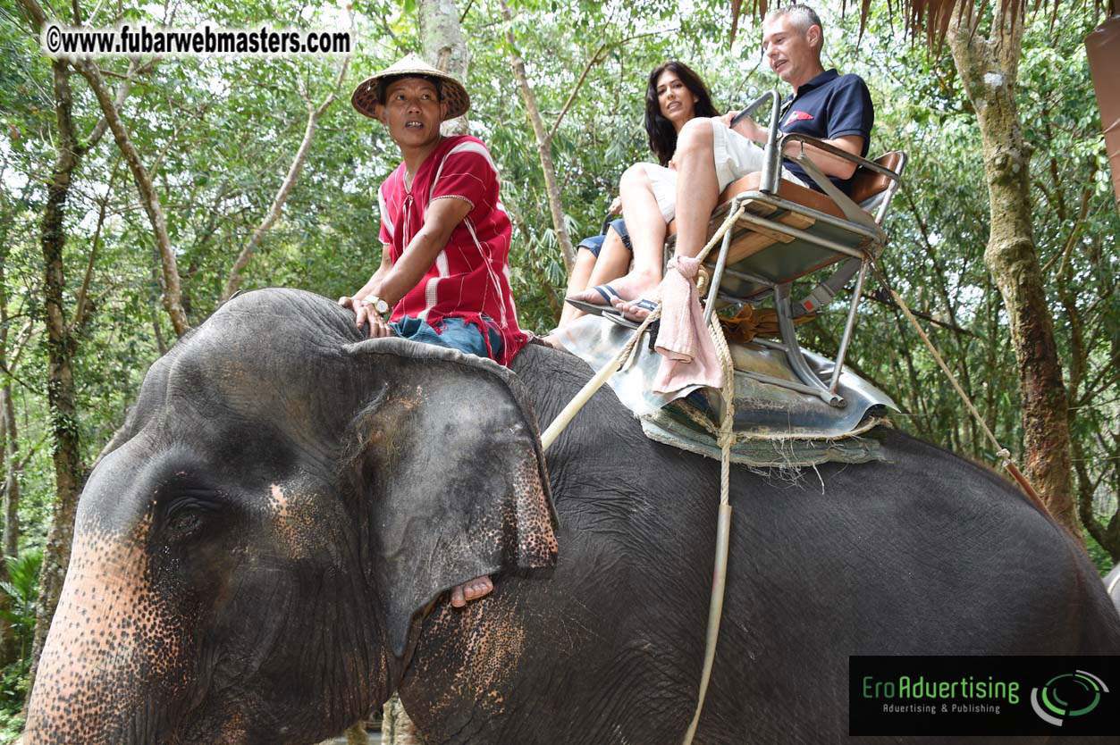 Elephant Safari