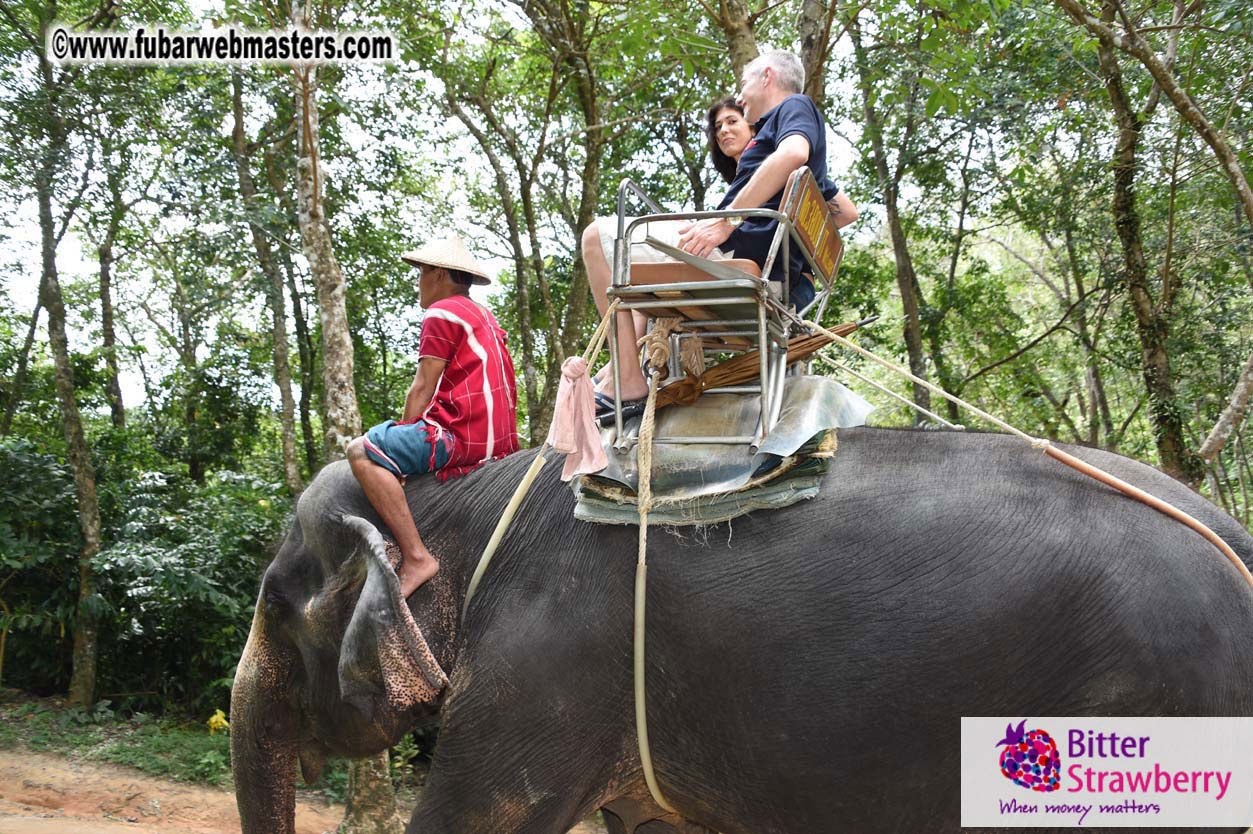 Elephant Safari